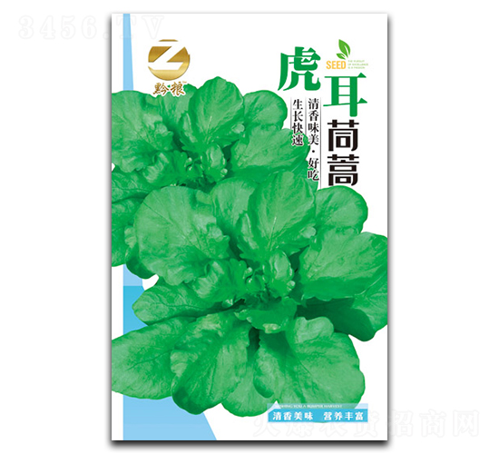 虎耳茼蒿-茼蒿種子-良籽農(nóng)業(yè)