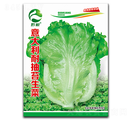 意大利耐抽苔生菜種子-良籽農(nóng)業(yè)