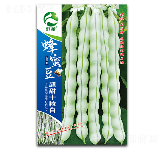 蜂蜜豆超甜十粒白-豇豆種子-良籽農(nóng)業(yè)