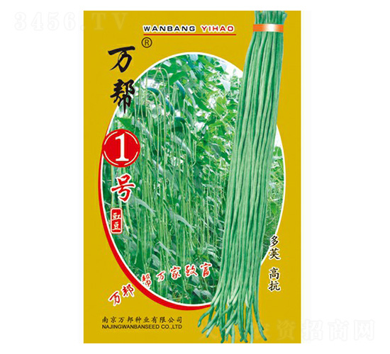 萬幫1號豇豆種子-萬邦種業(yè)