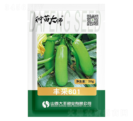 豐采601-西葫蘆種子-大豐種業(yè)