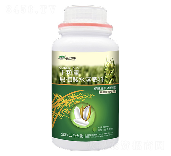 千粒重-腐植酸水溶肥料-云臺(tái)大化