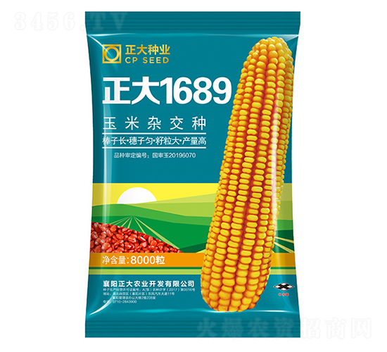 正大1689-玉米種子-正大種業(yè)