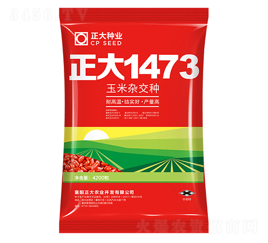 正大1473-玉米種子-正大種業(yè)