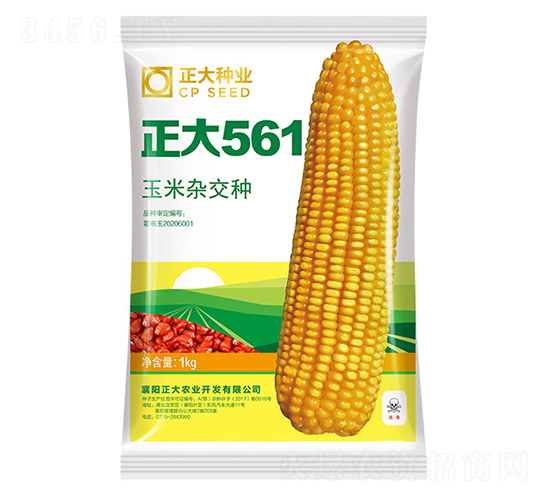 正大561-玉米種子-正大種業(yè)