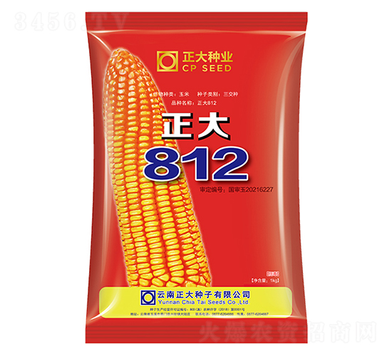 正大812-玉米種子-正大種業(yè)