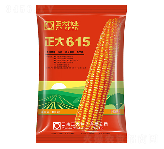 正大615-玉米種子-正大種業(yè)