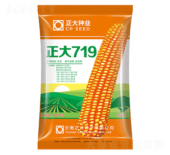 正大719-玉米種子-正大種業(yè)