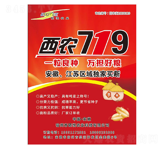 西農(nóng)719小麥種子-碩悅農(nóng)業(yè)