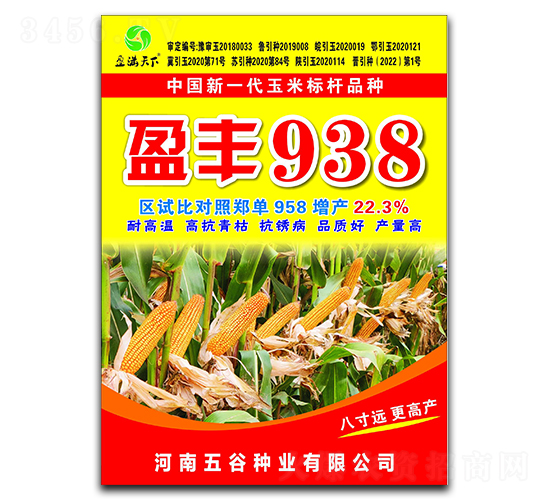 盈豐938玉米種子-盈滿(mǎn)天下-五谷種業(yè)