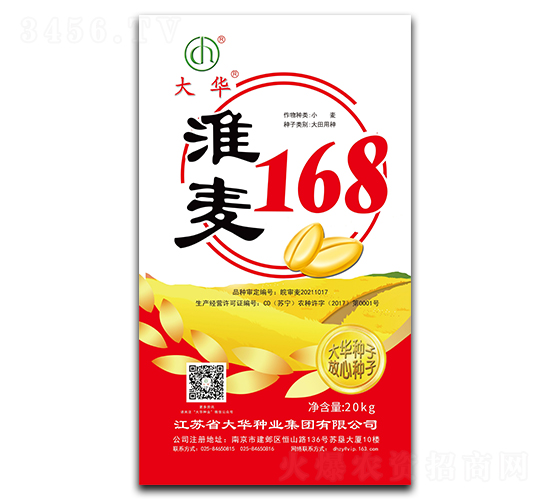 淮麥168-小麥種子-大華種業(yè)