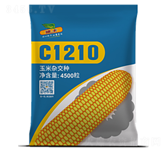 C1210-玉米種子