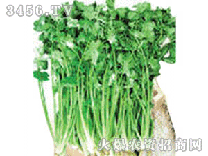 興農(nóng)寶典116肥香菜種植專用