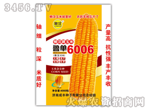 成豐-懶漢王魯單6006玉米