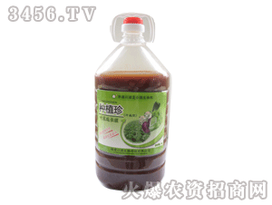 以諾-葉菜速長型5L