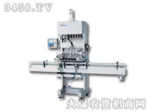 賽東-全自動重力式灌裝機