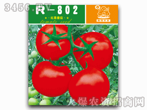 鑫園-R-802