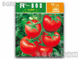 鑫園-R-803