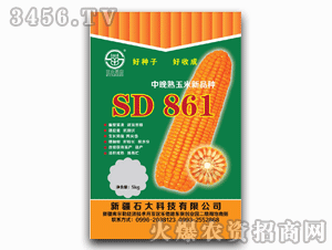 石大-SD861玉米種