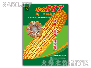 華農(nóng)887最新國(guó)審玉米種子