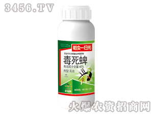 40%毒死蜱乳油-稻蟲一掃光-皇馬農(nóng)化