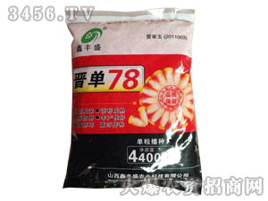 晉單78玉米種子-長豐種業(yè)