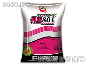 丹玉801玉米種-黑土地