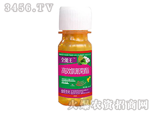 高效氯氰菊酯（瓶裝）-全能王-沈丘農(nóng)藥