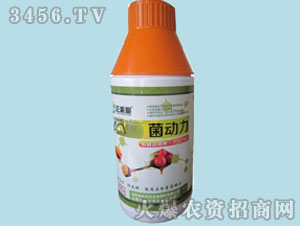 菌動(dòng)力1000ml-正能量-金科天元