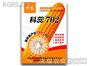 科蕊702-玉米種子-冀科種業(yè)