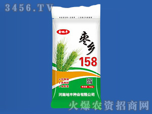 15kg棗鄉(xiāng)158-小麥種子-地豐種業(yè)