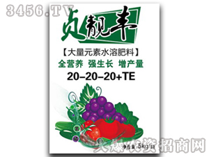 大量元素水溶肥料20-20-20+TE-貞靚豐-利貞比澤