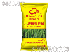 小麥返青肥料30-0-0-登海高科