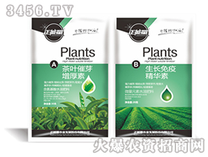 茶葉催芽增厚素-正能量-沃華生物