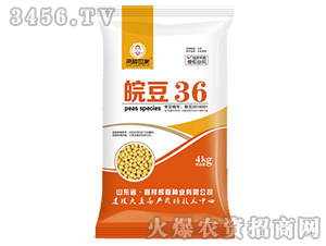 皖豆36-大豆種子-粱種世家