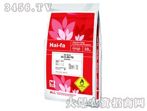 高濃度水溶肥料15-5-40+TE-魔力法-haifa品牌