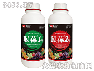 膜葆1號(hào)+2號(hào)套裝-刺客-綠威特