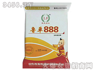 魯單888（4500粒）-玉米雜交種-連發(fā)農(nóng)業(yè)