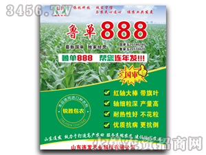 魯單888-玉米雜交種-連發(fā)農(nóng)業(yè)