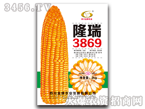 2kg隆瑞3869-玉米雜交種-金牌農(nóng)業(yè)