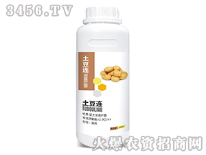 500ml枯草·巨大芽孢桿菌-土豆連-威廉康農(nóng)