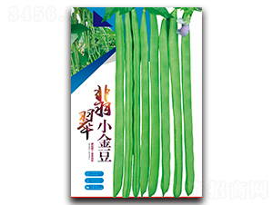 翠翡小金豆-架豆種子-鑫源種業(yè)