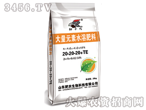 大量元素水溶肥料20-20-20+TE-保豐鳥-肥農生物