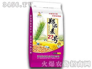 鄭品麥27號(hào)（15kg）-小麥種子-邦邦種業(yè)