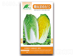 帥天金幣五號-白菜種子-帥天