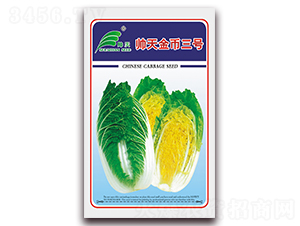 帥天金幣三號(hào)-白菜種子-帥天