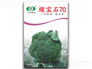 綠寶石70-西蘭花種子-力禾農(nóng)業(yè)