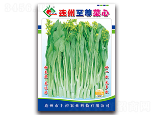 連州至尊菜心-菜心種子-豐裕農(nóng)業(yè)