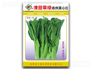 清甜翠綠連州菜心Ⅲ-菜心種子-豐裕農(nóng)業(yè)