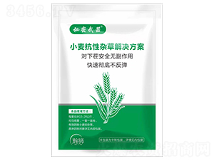 小麥抗性雜草解決方案-秘密武器-瀚獅農(nóng)業(yè)